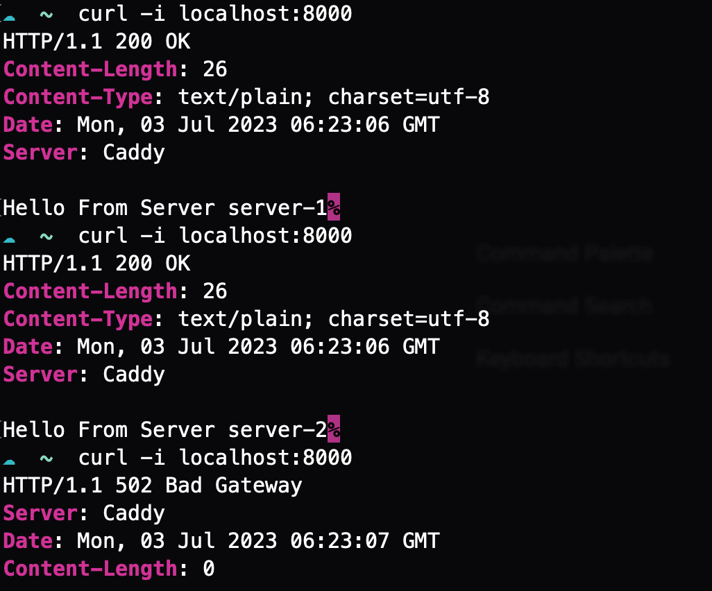 Caddy Failed Server